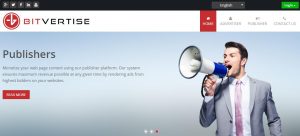 bitvertise