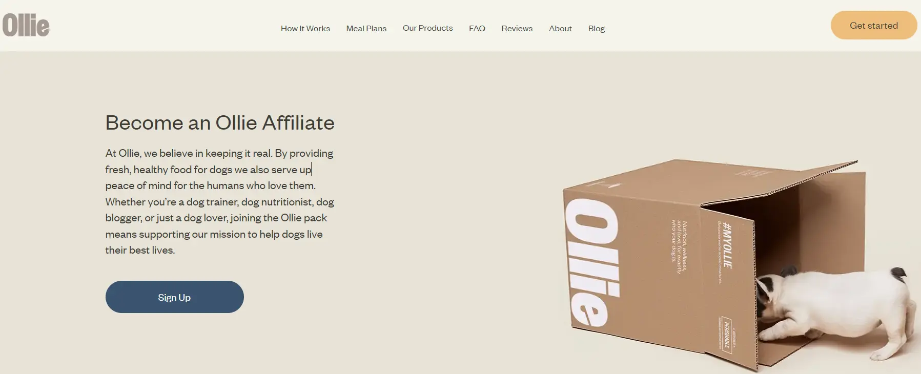 Ollie affiliate program