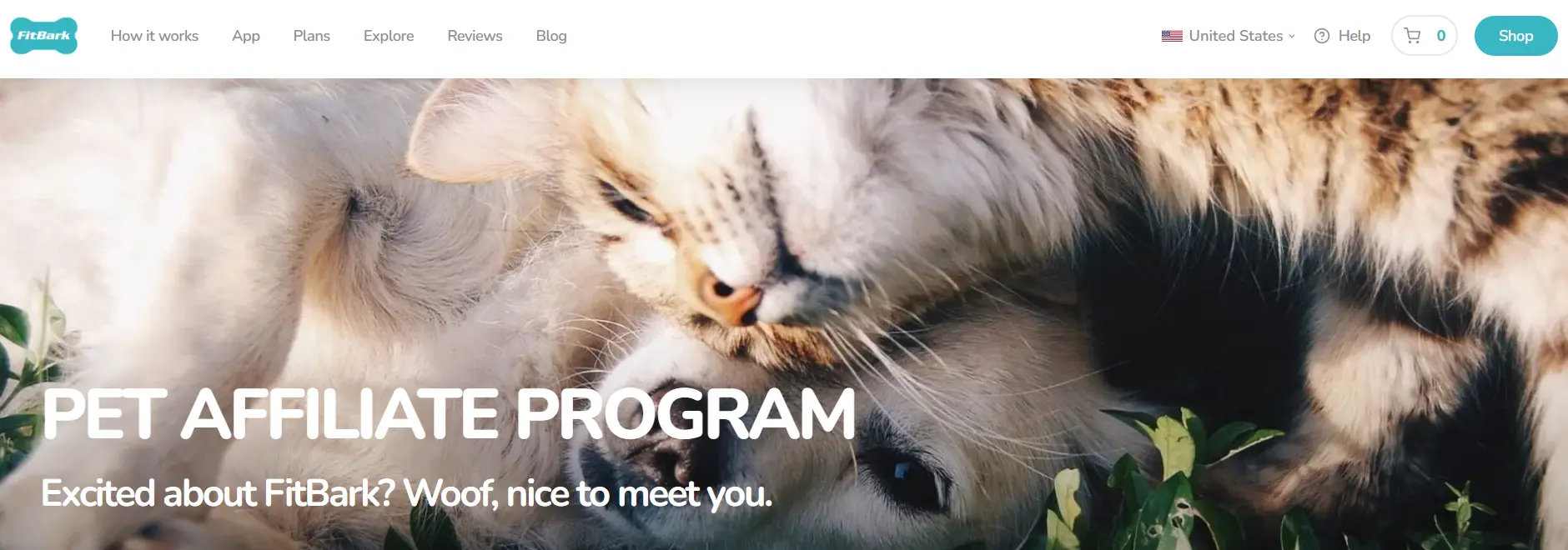 fitbark affiliate program